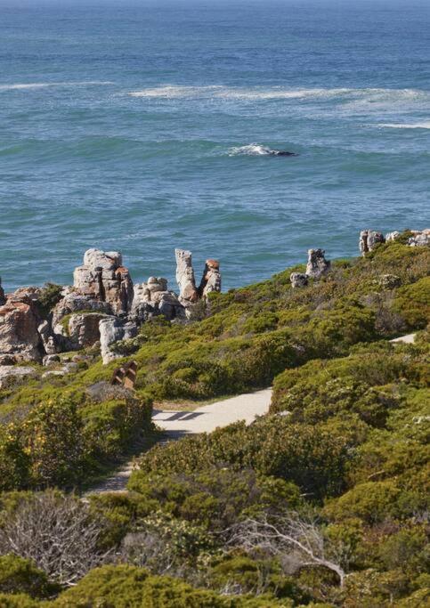 Heartwood Cottage Hermanus Eksteriør billede