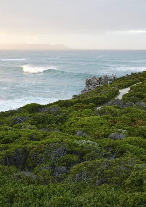 Heartwood Cottage Hermanus Eksteriør billede